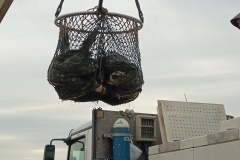 IMG_20250410_081801