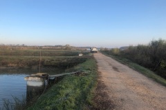 IMG_1050